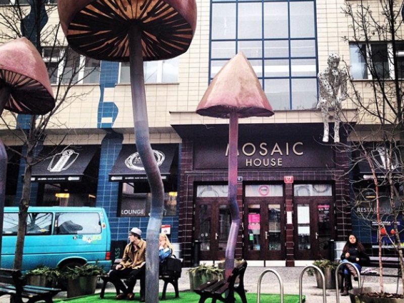 Mosaic House — New Website for a Vibrant Eco-Friendly Design and Music Hostel in Prague photo