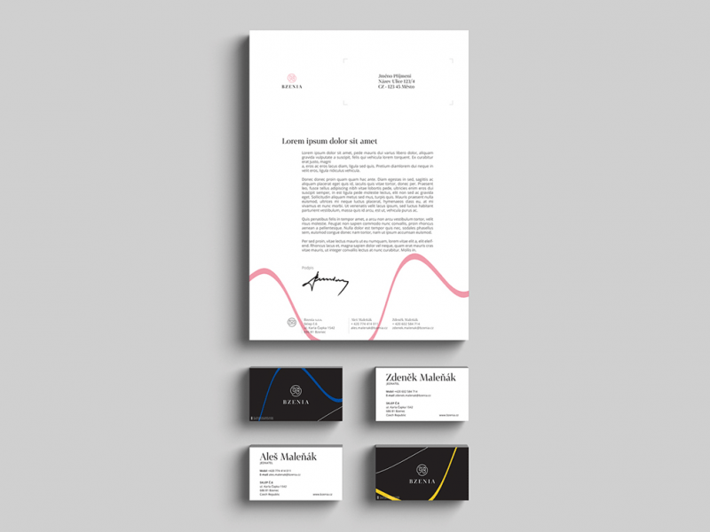 Bzenia Winery Rebranding — How We Created a New Visual Identity and an E-Commerce Website Incorporating AR photo