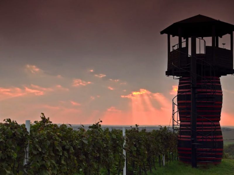 Bzenia Winery Rebranding — How We Created a New Visual Identity and an E-Commerce Website Incorporating AR photo