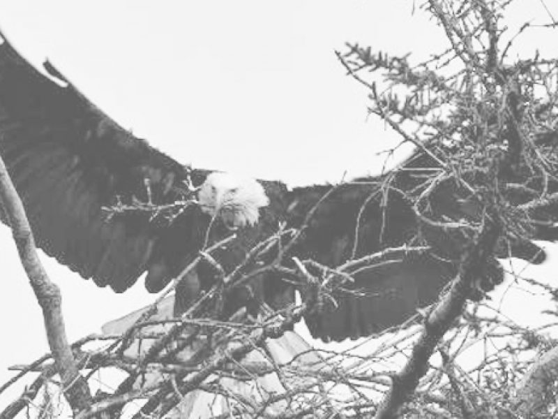 Znojmo Town Brewery — Loving Microbreweries as Much as We Do photo