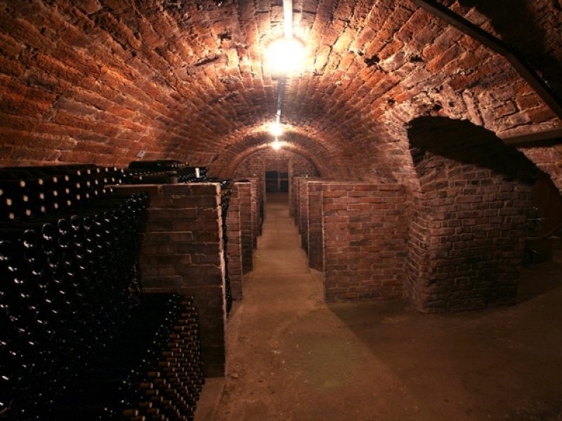 Bzenia Winery 2013 — Design of a New Vintage for a Family-Operated Luxury Winery Producing Organic Wines photo