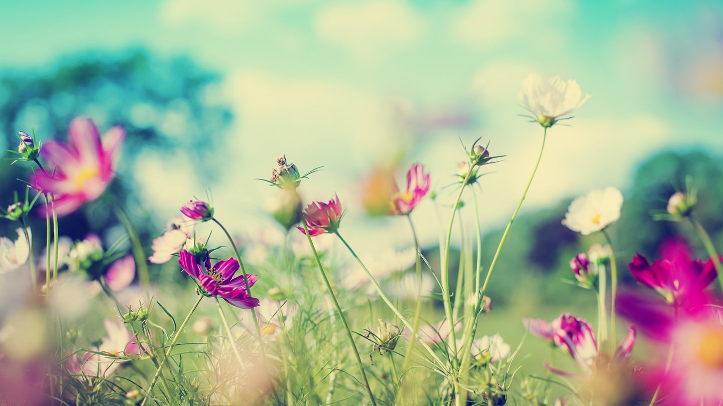 JWPR — No Grandstanding, No Air Kissing, Just Professional Proactive PR with Web Design