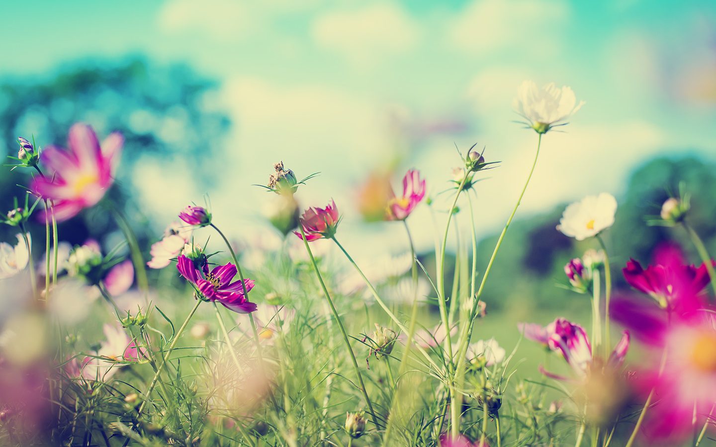 JWPR — No Grandstanding, No Air Kissing, Just Professional Proactive PR with Web Design image