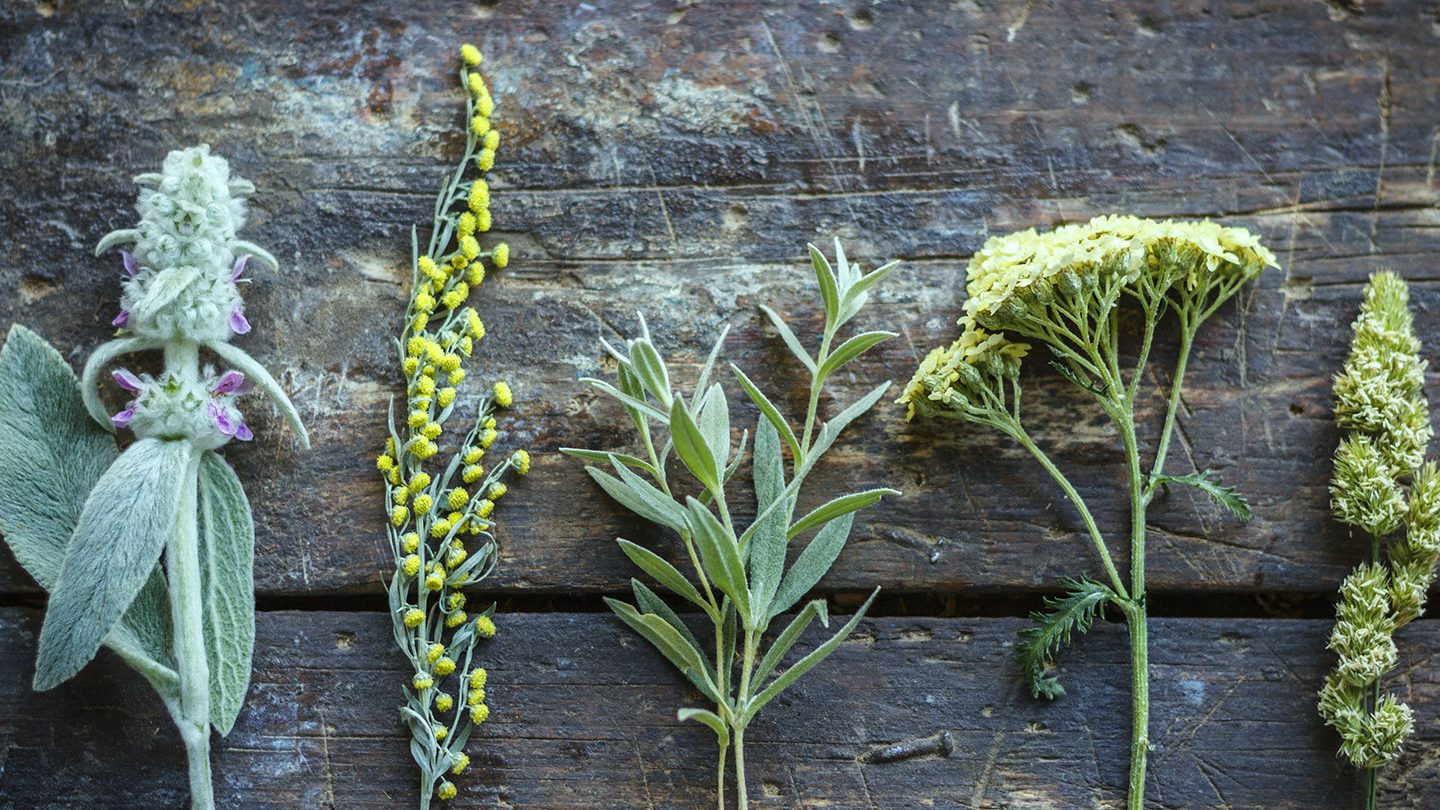 Lekarna.cz — How Many Meanings Can the Heart Symbol Have?