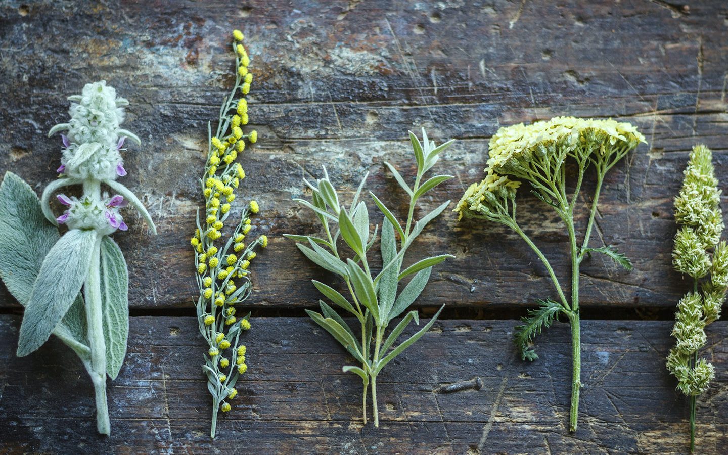 Lekarna.cz — How Many Meanings Can the Heart Symbol Have? image