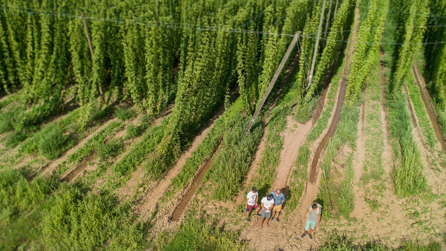 BudVR: New Experience for Budvar UK