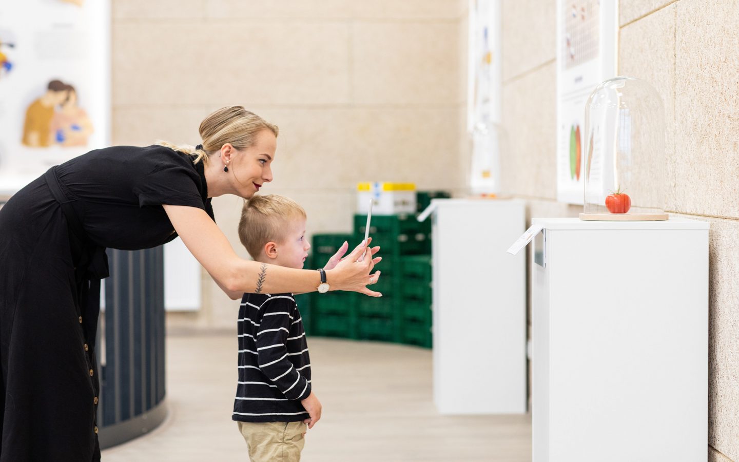 Bezdinek Farm — With Respect to Nature image