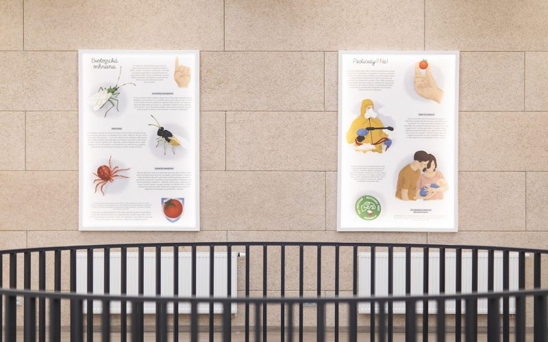 Bezdinek Farm — Building the Brand of the State-of-the-Art Production Greenhouse photo