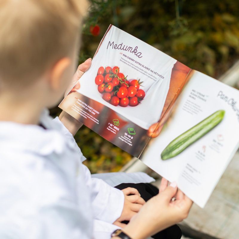 Bezdinek Farm — Building the Brand of the State-of-the-Art Production Greenhouse photo