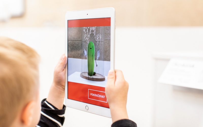 Bezdinek Farm — With Respect to Nature photo