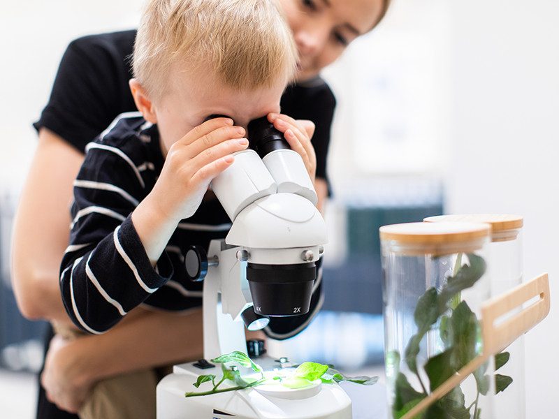 Bezdinek Farm — With Respect to Nature photo