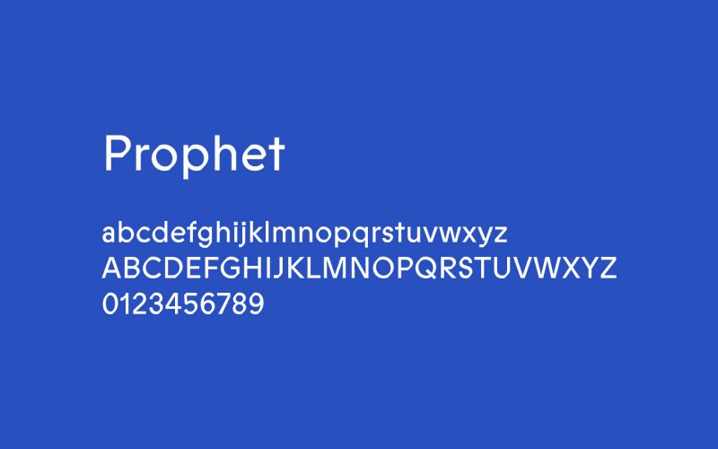 Warsaw Ghetto Museum — A Story That Needed to Be Told photo