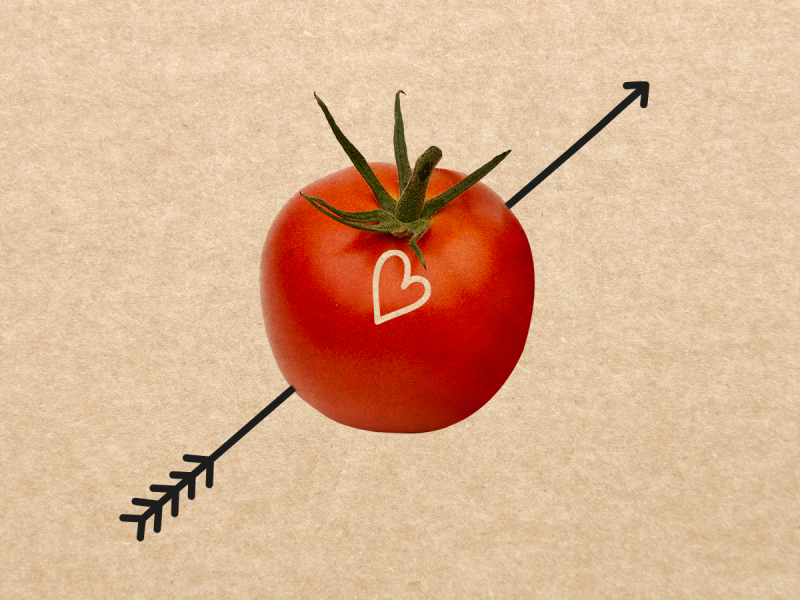 Bezdinek Farm — Building the Brand of the State-of-the-Art Production Greenhouse photo