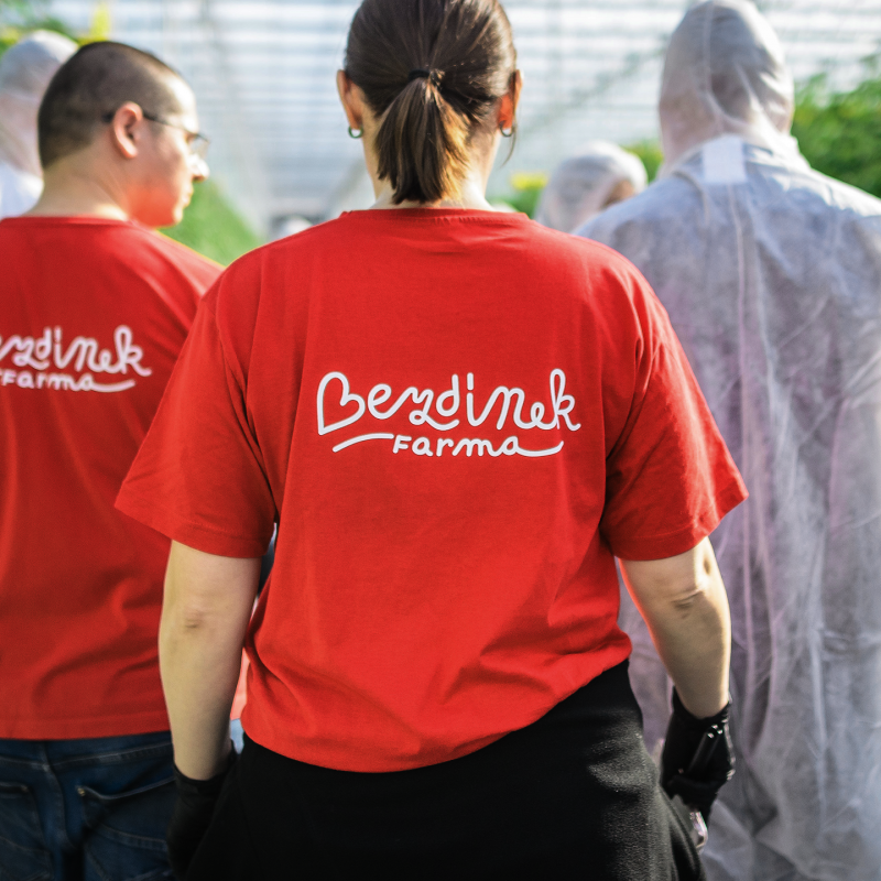 Bezdinek Farm — Building the Brand of the State-of-the-Art Production Greenhouse photo
