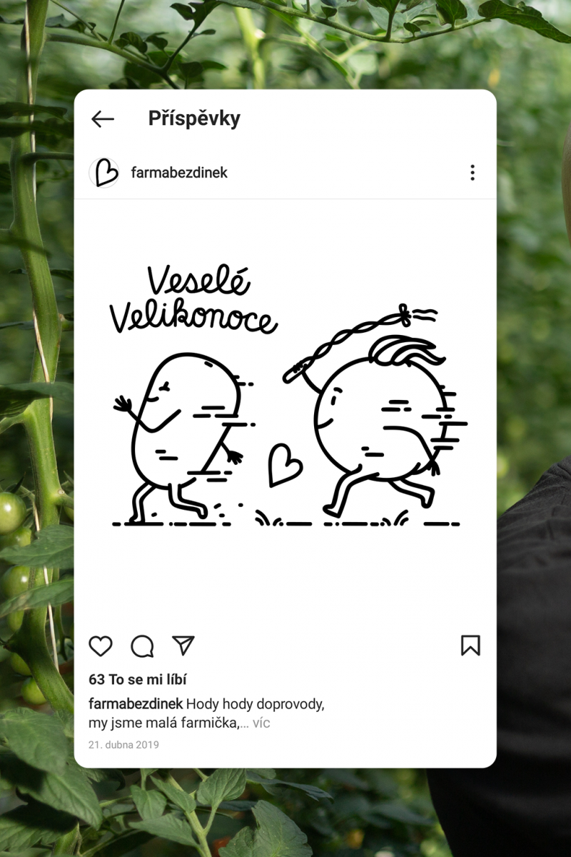 Bezdinek Farm — Building the Brand of the State-of-the-Art Production Greenhouse photo