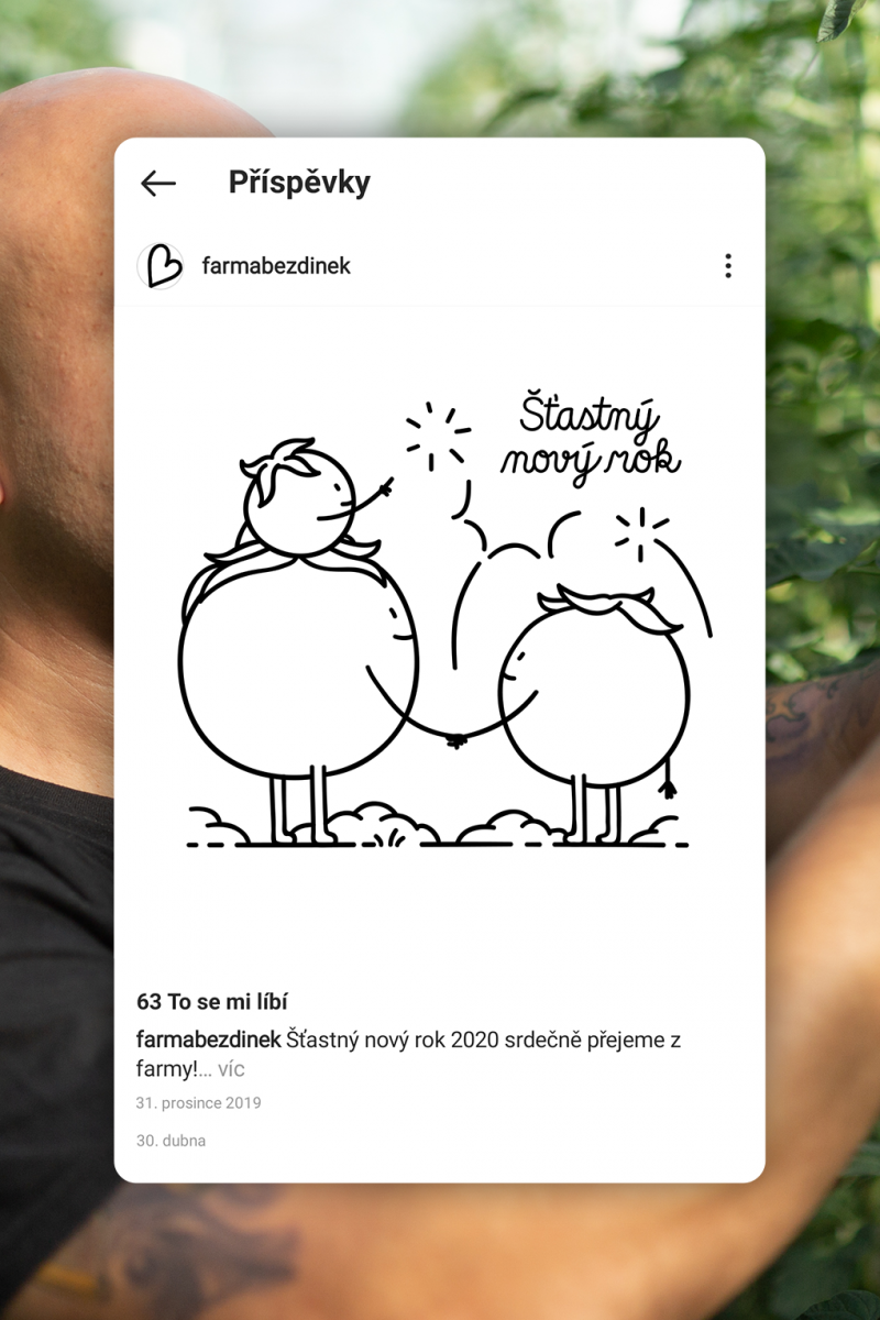 Bezdinek Farm — Building the Brand of the State-of-the-Art Production Greenhouse photo