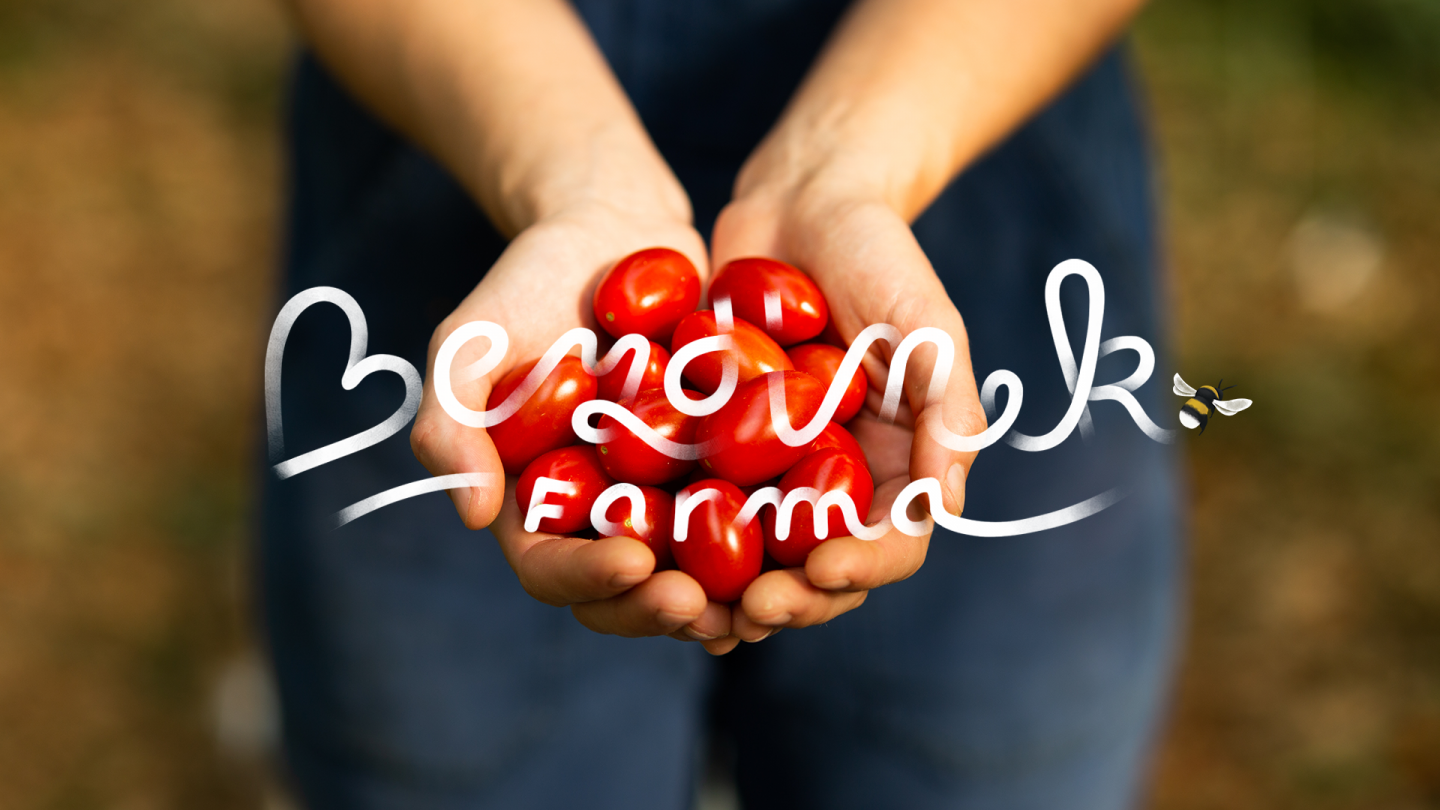 Bezdinek Farm — Building the Brand of the State-of-the-Art Production Greenhouse