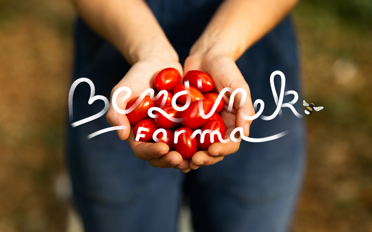 Bezdinek Farm — Building the Brand of the State-of-the-Art Production Greenhouse image