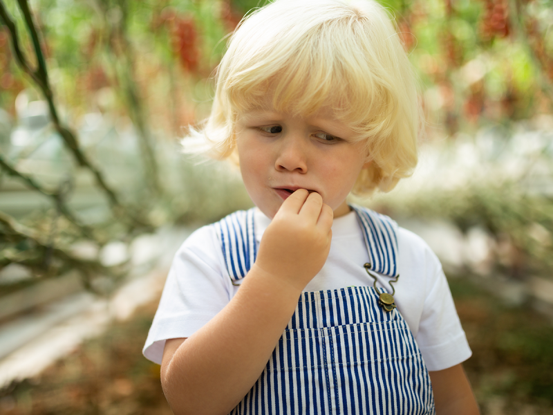 Bezdinek Farm — Building the Brand of the State-of-the-Art Production Greenhouse photo