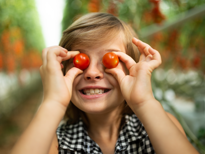 Bezdinek Farm — Building the Brand of the State-of-the-Art Production Greenhouse photo