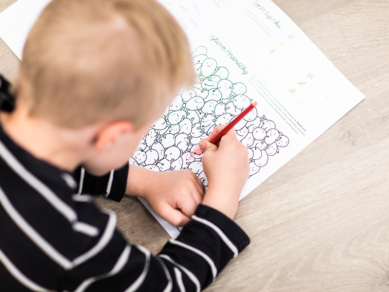 Bezdinek Farm — Building the Brand of the State-of-the-Art Production Greenhouse photo