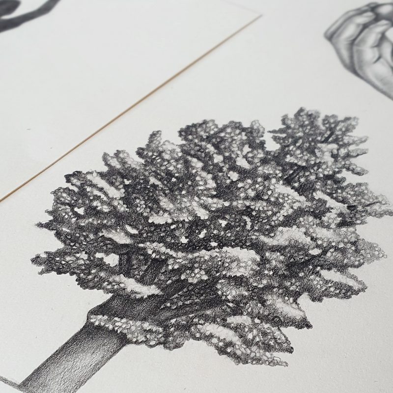 Zufanek Distillery, Limited Edition — From Orchard to Art photo