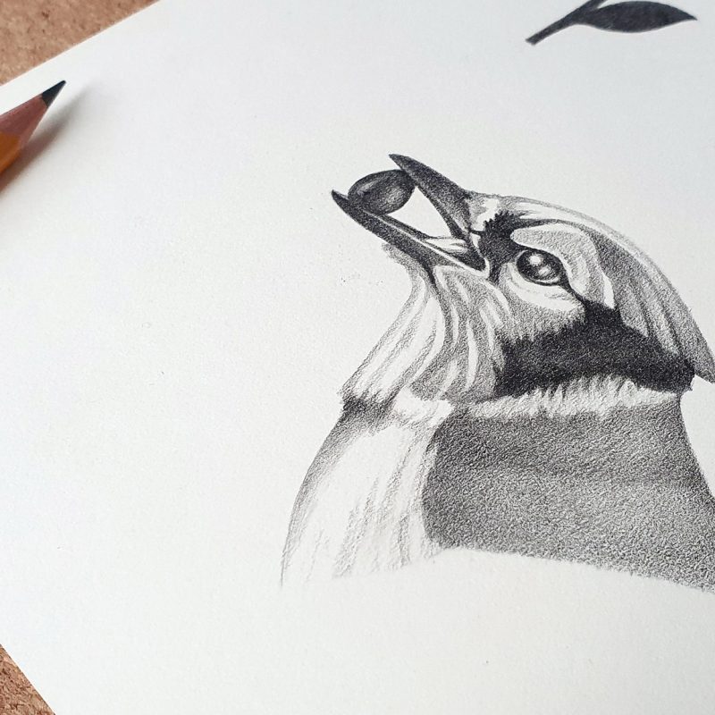 Zufanek Distillery, Limited Edition — From Orchard to Art photo